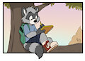 Raccoons Appreciation Day