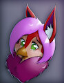 Oh Noes! by Lily