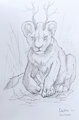 Alex the lion