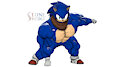 Buff Boom Stand Down - Sonic Boom Pose Remake by StoneHedgeART