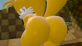 Tails's Big Booty by Skulltronprime969