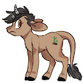 Pony noot!