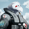 Corrsk Pilot Portrait