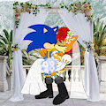 SonicXSally: Most Treasured Occasion by MasterMochiKun