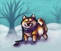Shiba Christmas Card by shikoku