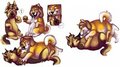 The Magical Cheezbrgr by shikoku
