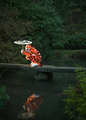 Tiger and Water