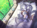 Commission 11- Early Light