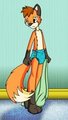 Little Fox