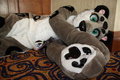 Nepal laying down by SiekhalHusky