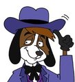 Tip o' the Hat