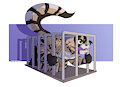 In cage by Jerrert
