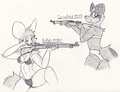 US Service Rifles 2