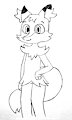 Flame the braixen