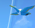 Soaring Above the Sea