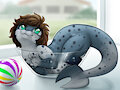 Seal in a bowl