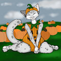 Pumpkin Patch Baby