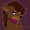 Glare by ScarletSoftPaws