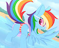 Summer Dash