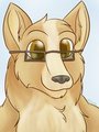 Pembroke- Commission by Klaora