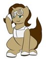 [C] ShutterShades 02