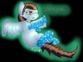 Aquaberry in Socks
