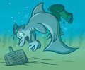 Dan Shark