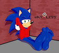 [Commission] Quick Break