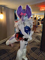 Raptoroxy ACFI 2022 by huthro