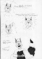 [Old Art} Animal Q+A by Kelley “Mousie” Siegfried