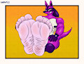 Nick licario's Bigfoot Focus by BigFootfansmell