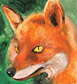 Painted Fox by Arkloyd