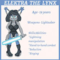 Reference Sheet Commission- Ekektra the Lynx