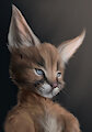 Caracal