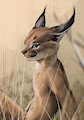 Savanna by Stampmats