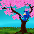 Nature's Wonder