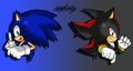 Sonic and Shadow