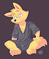 Big Baggy Shirt by RoareyRaccoon