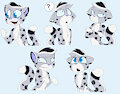 Echo Stickers -CO-