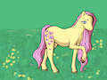 MLP Stuff