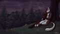 hugs in the forest
