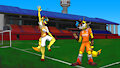Jwolf Soccer COMMISSION