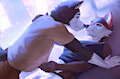 A Softer Love - By Maruskha