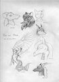 Old pic by Netreek