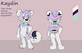 Kaydin Refsheet 2022 by ShockinglyLazy