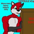 Yiffrule #74