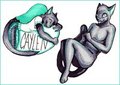Superawesome Danji Badges