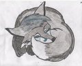 sad fox  by BishopJFox