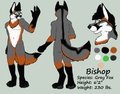 YAY!! A ref Sheet  by BishopJFox