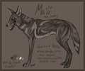 Ma'ii Reference Sheet